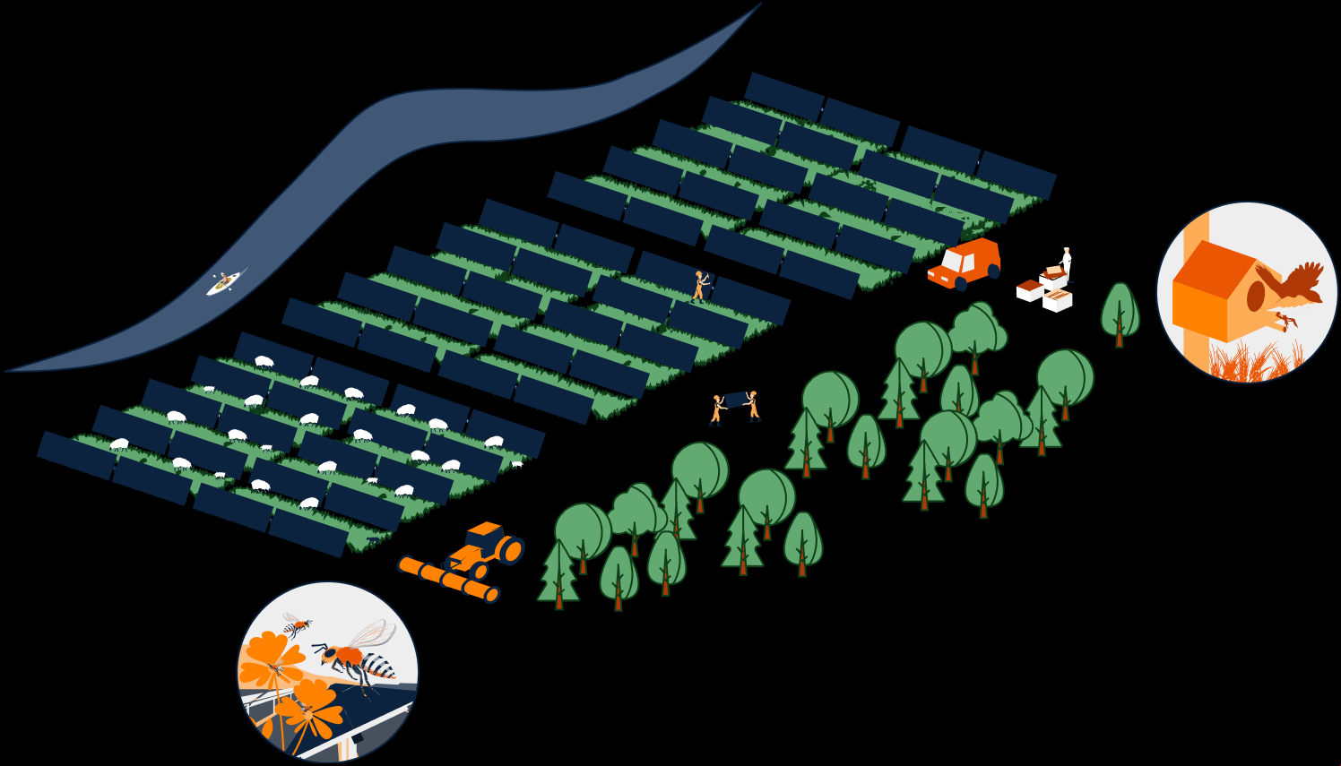 Biodiversity Protection